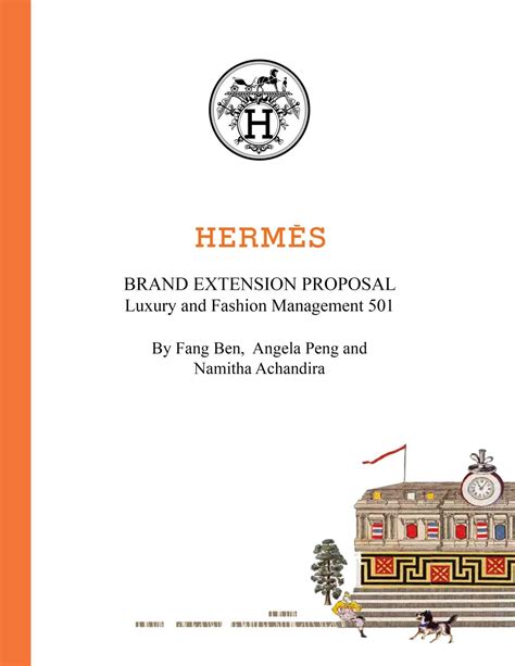 hermes customer analysis